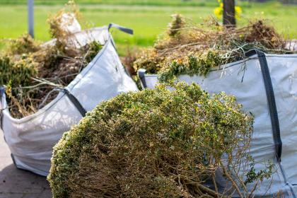 Yard waste removal in Richmond VA