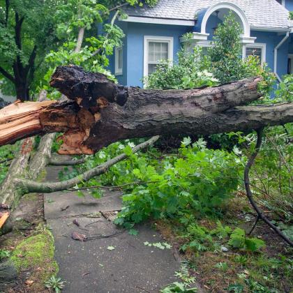 Post Storm Damage & Estate Clean Outs in Richmond VA